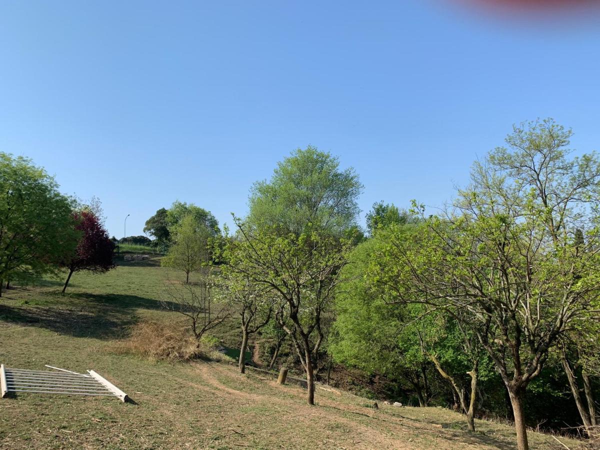 Villa Isidoro Ampio Parco ,Piscina Privata, Arte E Giochi , Fitness Verona Exteriér fotografie