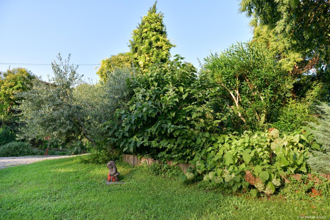 Villa Isidoro Ampio Parco ,Piscina Privata, Arte E Giochi , Fitness Verona Exteriér fotografie